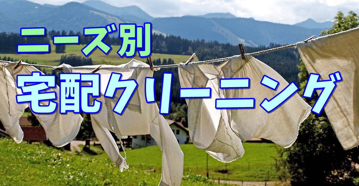 安い料金 季節物の保管 高級ブランド 宅配クリーニング ニーズ別おすすめの3社 なんとかしてリバプールに住みたい